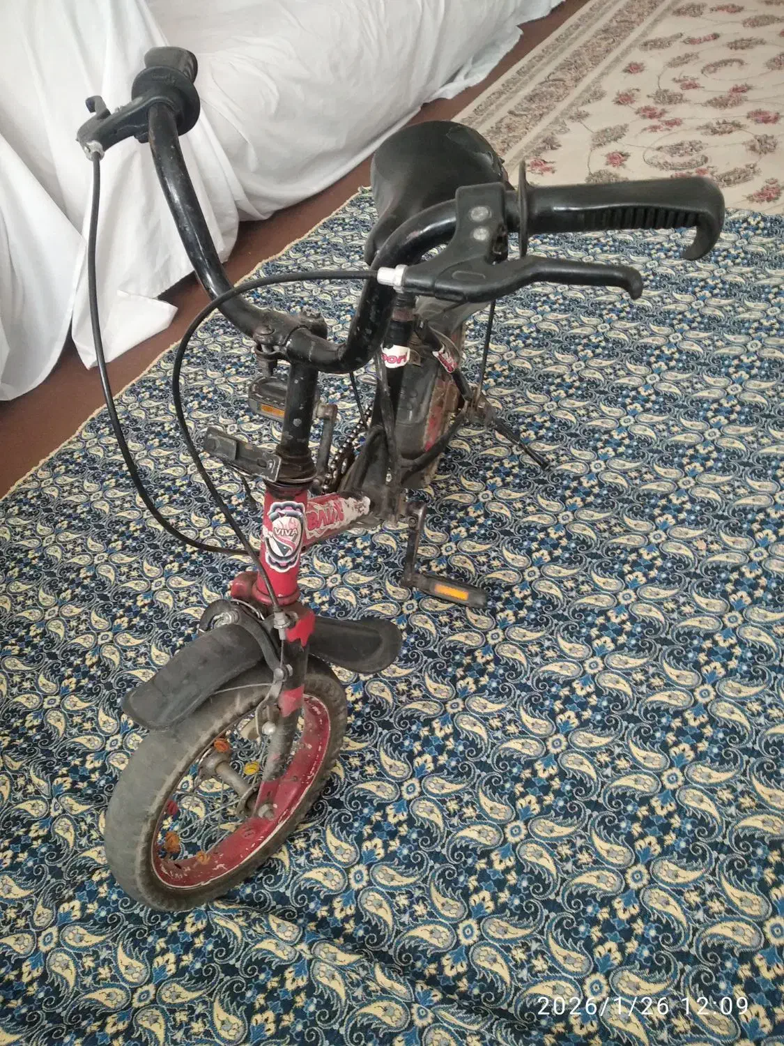 دوچرخه سایز ۱۲|دوچرخه، اسکیت، اسکوتر|قم, شهرک فاطمیه|دیوار