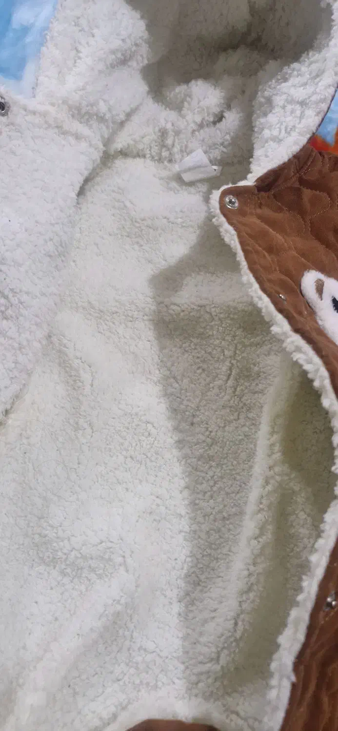 سر همی|کفش و لباس بچه|یزد, |دیوار