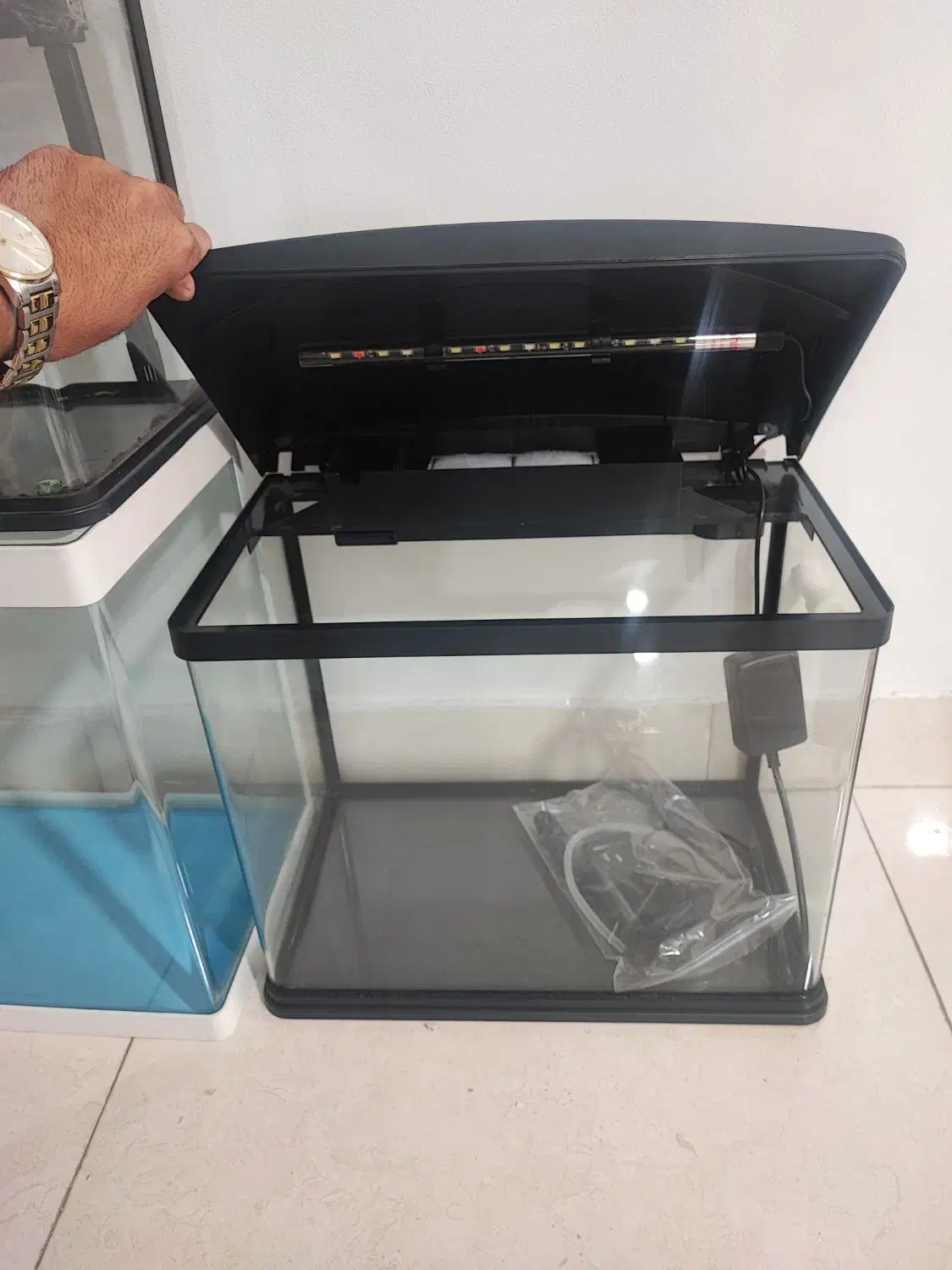 اکواریوم|ماهی|چهاردانگه (تهران), |دیوار