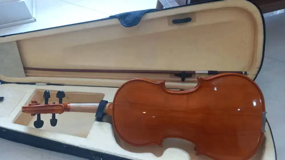 ویولن والنسیا|ویولن|گرگان, |دیوار