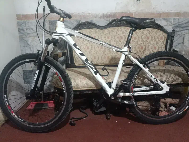 دوچرخه ویوا تنه آلومینیوم چرخ دنده بلبرنگی|دوچرخه، اسکیت، اسکوتر|کرمان, |دیوار