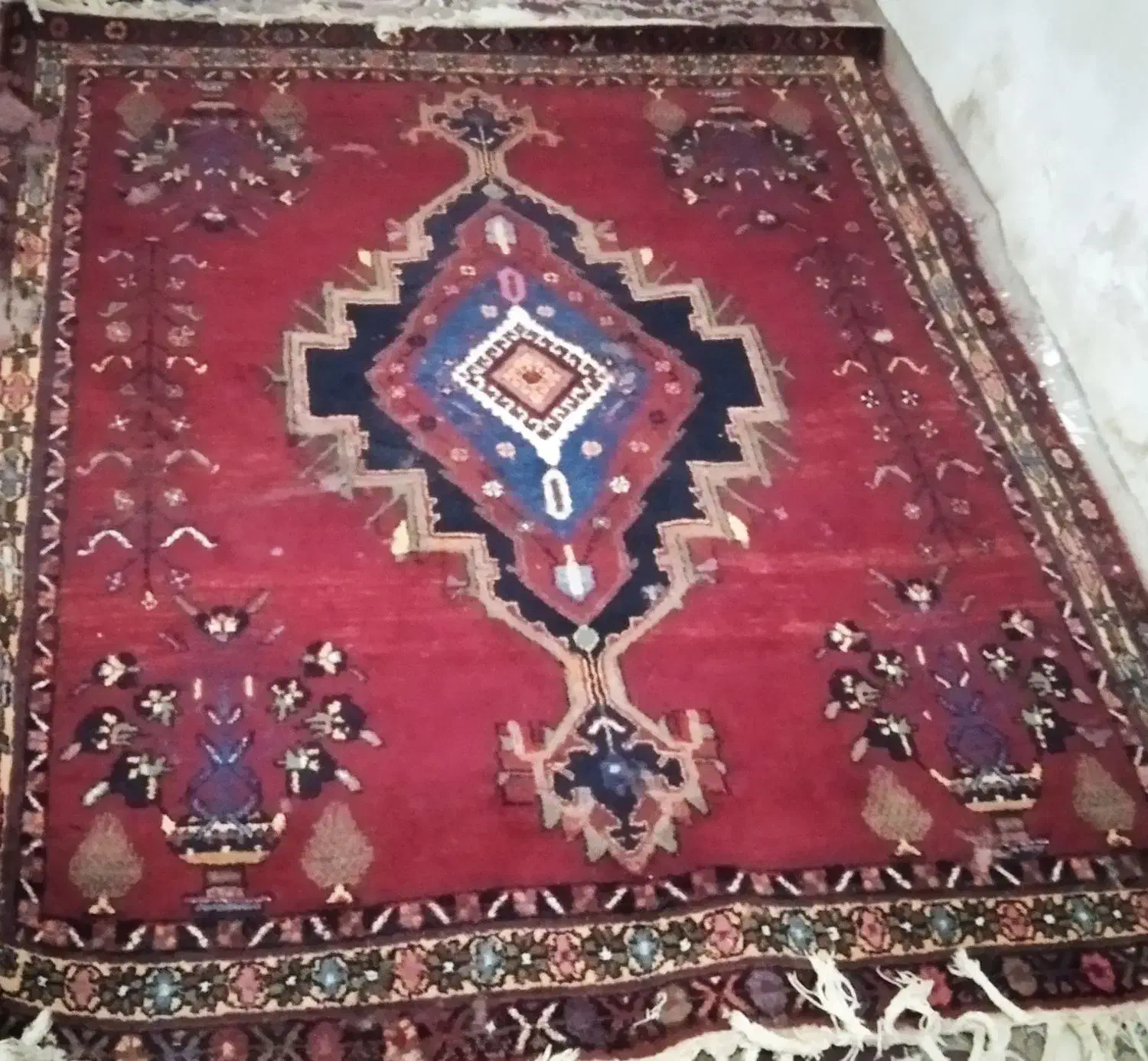 قالی دست باف خانگی|فرش|زرقان, |دیوار