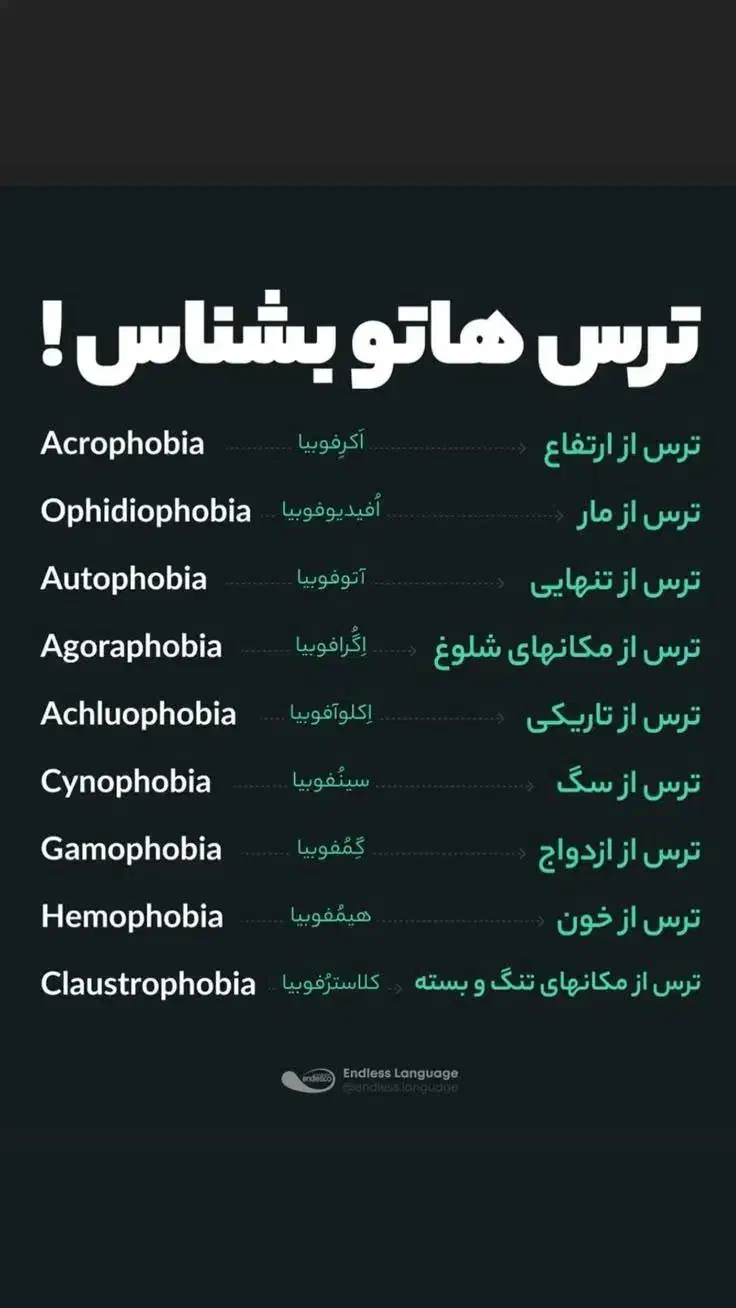 یادگیری مکالمه ی زبان انگلیسی در ۶ ماه|خدمات آموزشی|تبریز, |دیوار