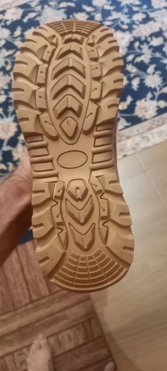 کفش امریکایی|کیف، کفش، کمربند|تبریز, |دیوار