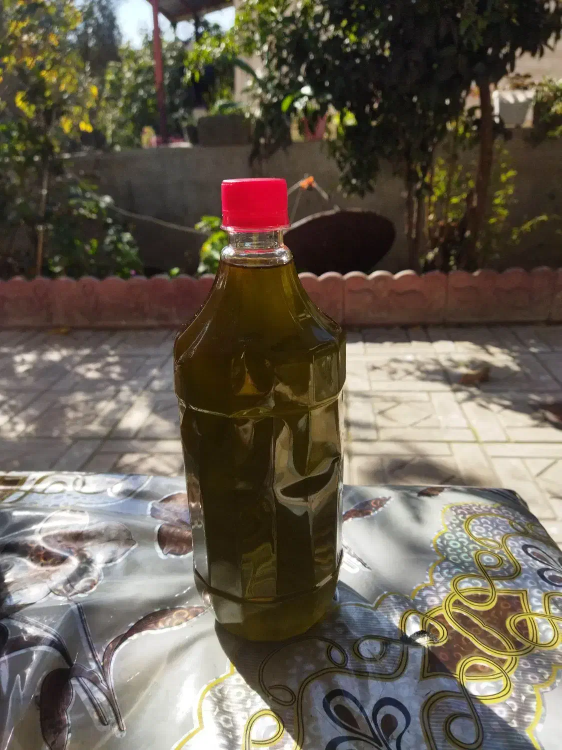 روغن زیتون اصل رودبار|خوردنی و آشامیدنی|رودبار, |دیوار