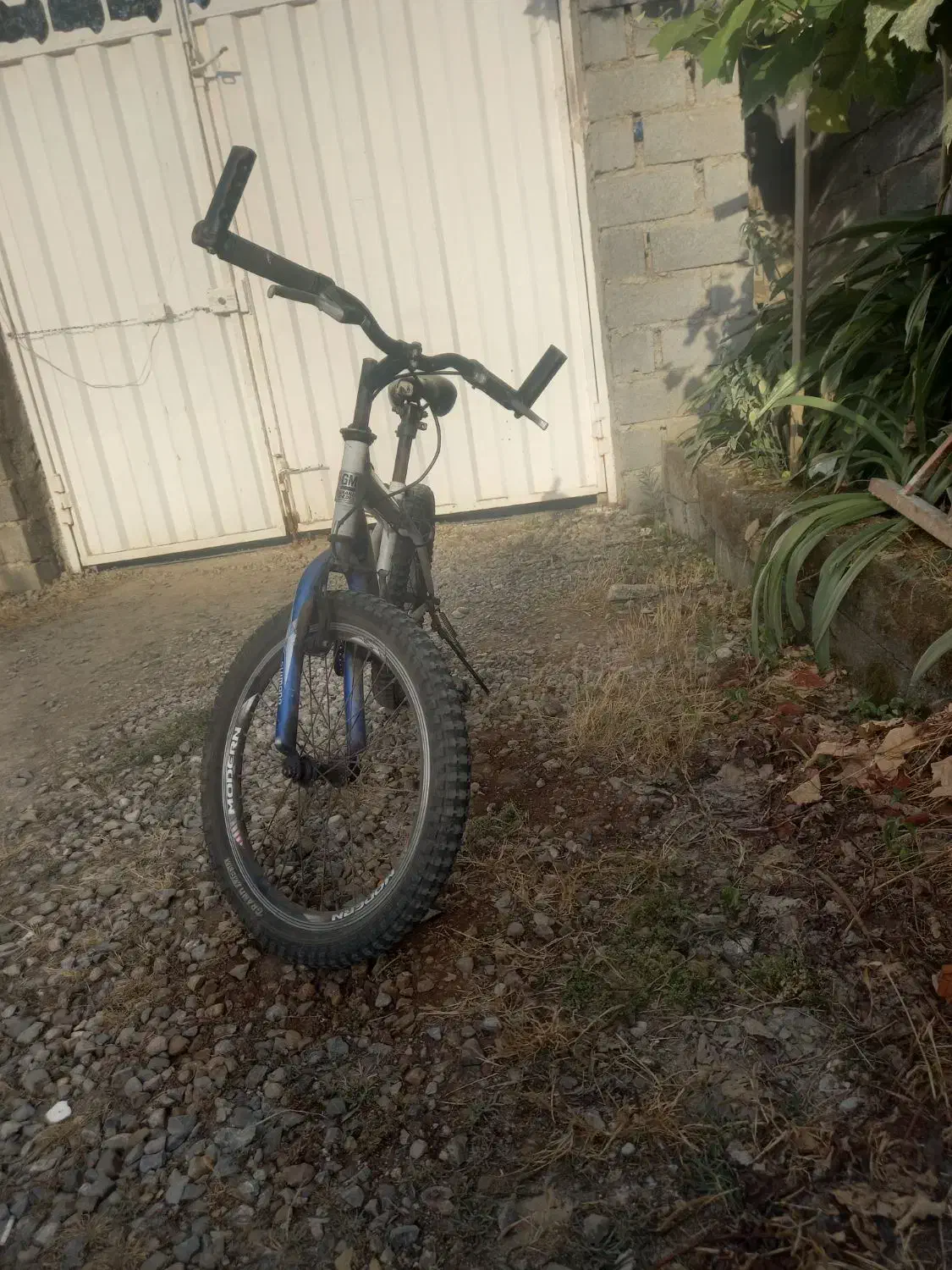 دوچرخه اسپایدر|دوچرخه، اسکیت، اسکوتر|کوهیخیل, |دیوار