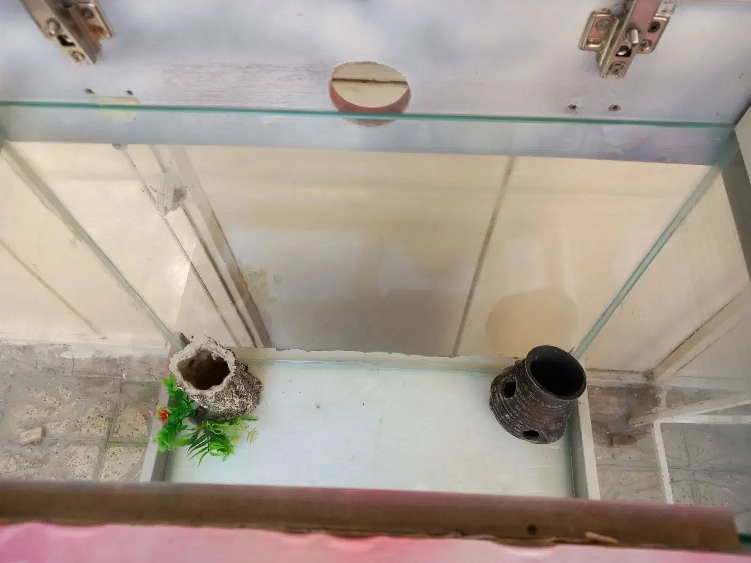 آکواریوم|ماهی|کرج, عظیمیه|دیوار