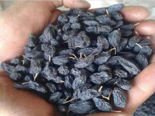 مویز سیاه دشمن زیاری|خوردنی و آشامیدنی|دشمن زیاری, |دیوار