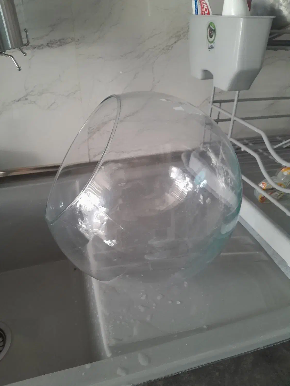 تنگ|گل و گیاه طبیعی|تهران, خانی آباد نو شمالی|دیوار