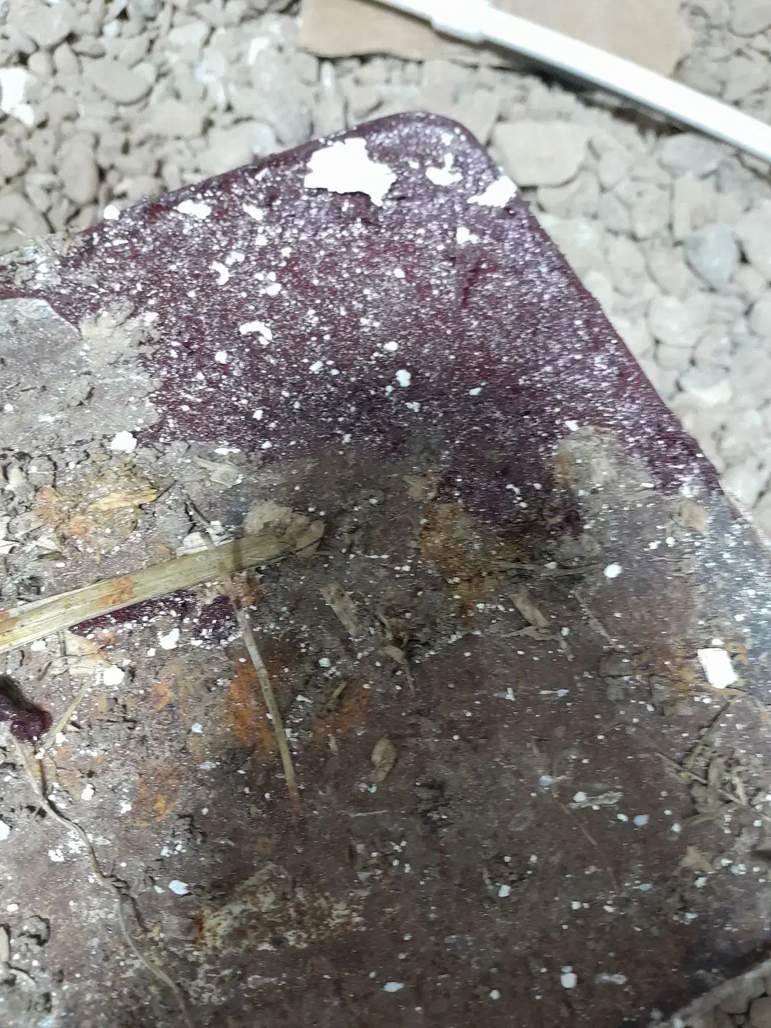 رنگ|ابزارآلات|رودسر, |دیوار