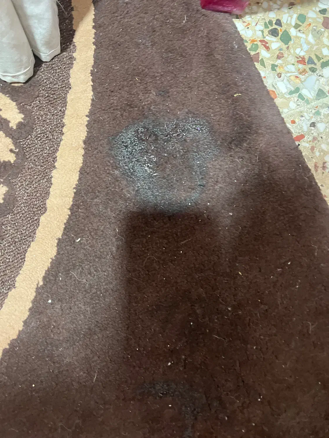 گلیم فرش جفت ۶متری|گلیم، جاجیم، گبه|نجف‌آباد, یزدانشهر|دیوار