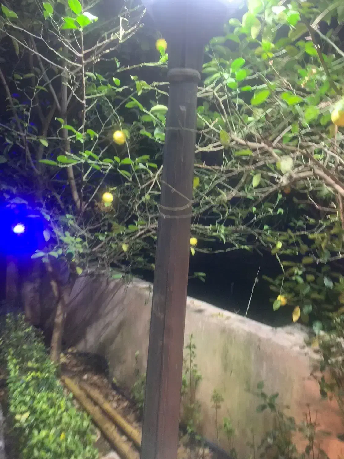 چراغ و پایه برای فضای باز|لامپ و چراغ|نوشهر, |دیوار