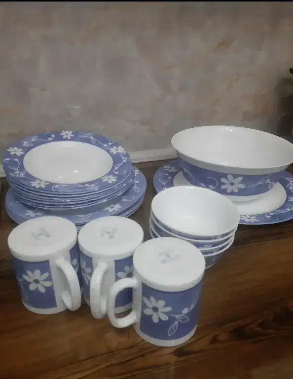 ارکوپال های فرانسه ویکتوریا و فلو|ظروف سرو و پذیرایی|تبریز, |دیوار