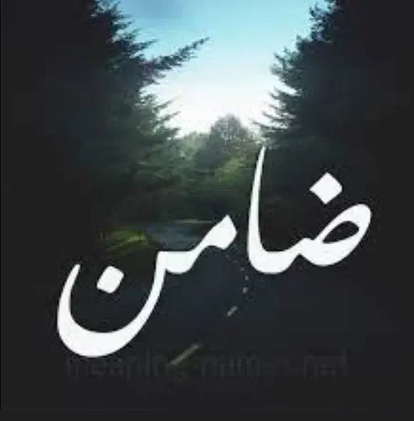 ضامن میشم|خدمات مالی، حسابداری، بیمه|قم, پردیسان|دیوار