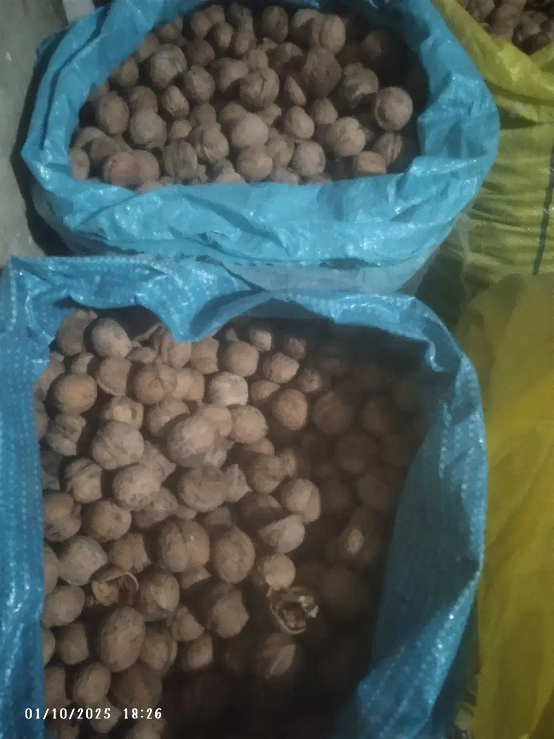 گردو تازه روستای گروه کیلو ۴۰۰هزار|حراج|چناران, |دیوار