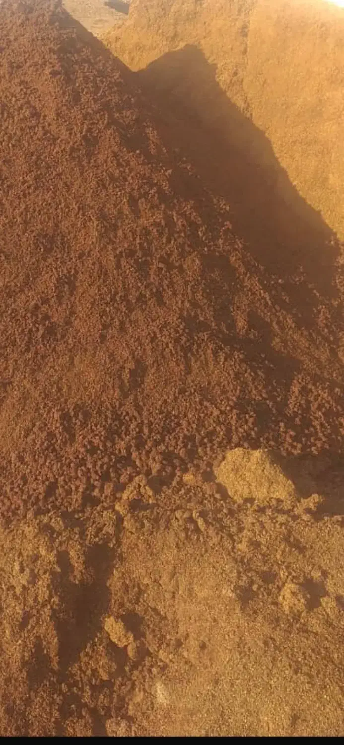 تفاله زیتون|حیوانات مزرعه|اردستان, |دیوار