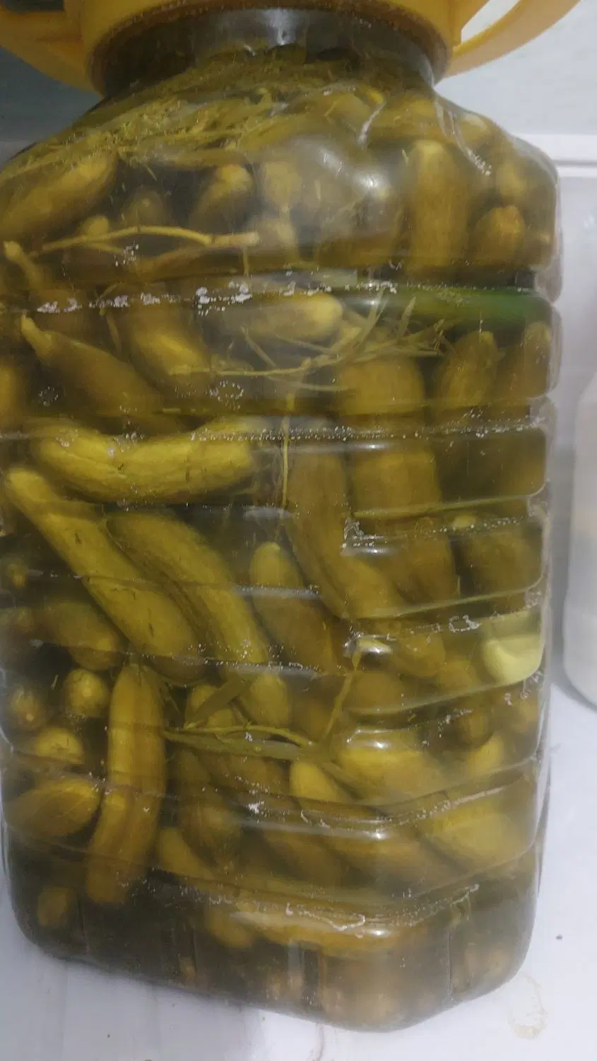 فروش خیارشور محلی|خوردنی و آشامیدنی|شیراز, کرونی(خاتونک)|دیوار
