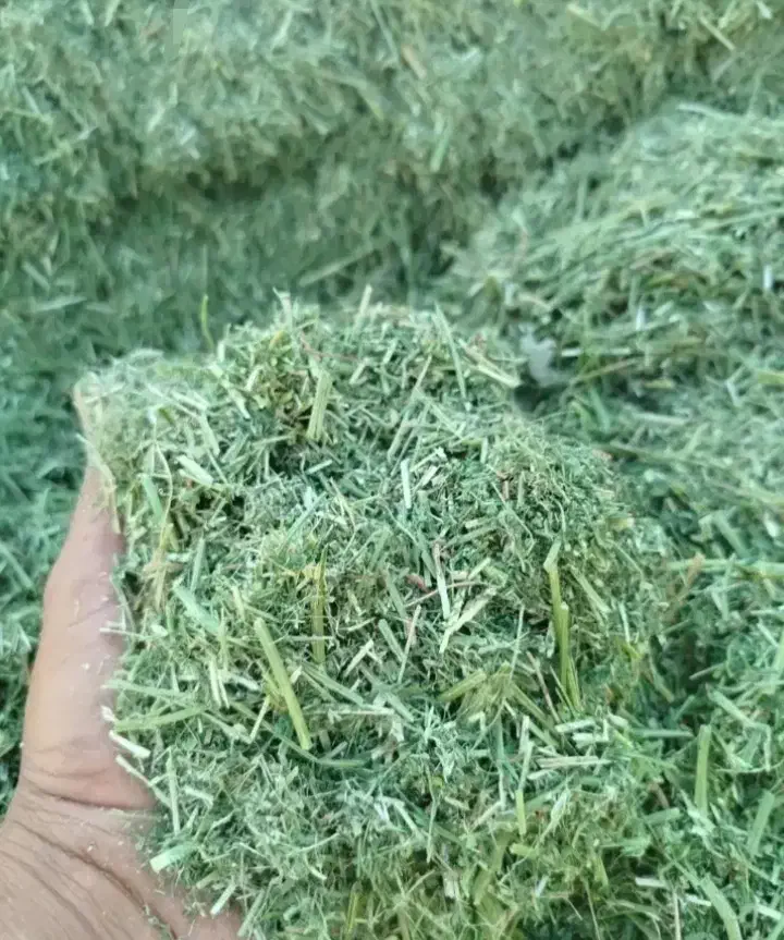 یونچه|لوازم جانبی حیوانات|خرمآباد, |دیوار