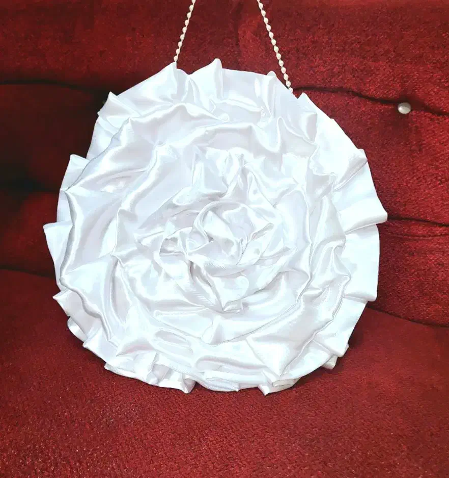 کیف کادو و شاباش و هدایای عروس|کیف، کفش، کمربند|رشت, پاستوریزه|دیوار