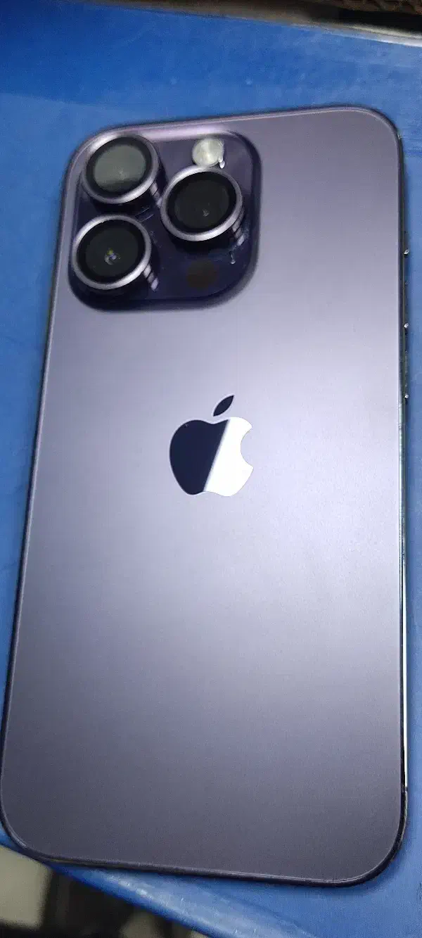 آیفون 14pro|موبایل|بندرعباس, |دیوار