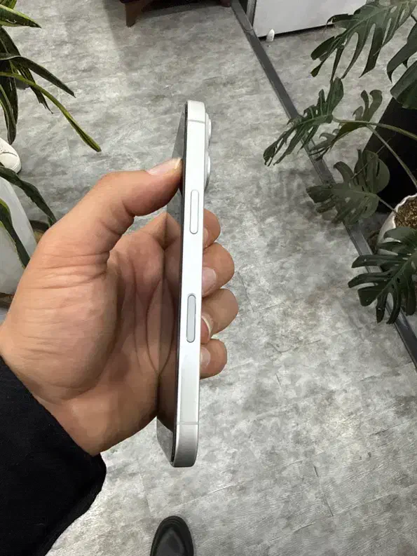 آیفون ۱۶ نرمال باتری ۹۹ رنگ سفید ۱۲۸ گیگ شرکتی|موبایل|شیراز, قالیشویی|دیوار