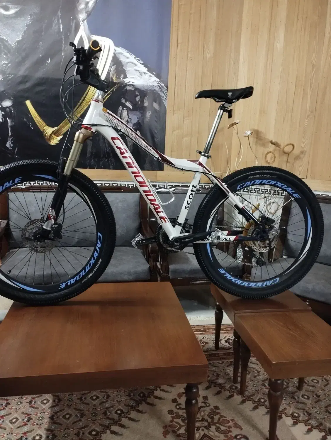 فروش انواع دوچرخه های دسته دو اروپایی|دوچرخه، اسکیت، اسکوتر|یزد, |دیوار