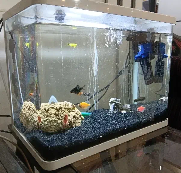 فروش آکواریوم با تمام تجهیزات|ماهی|قائم‌شهر, |دیوار