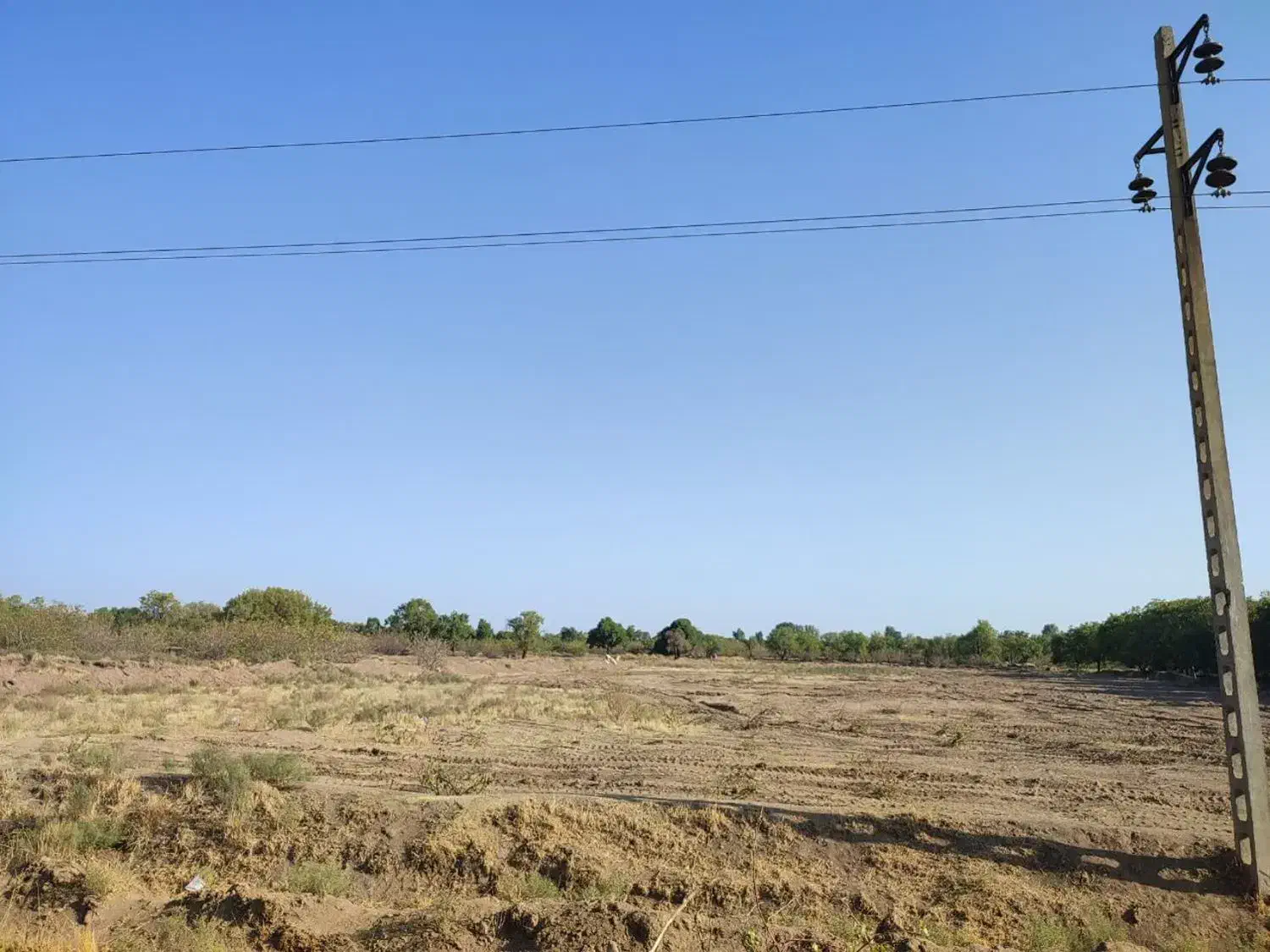 زمین زراعی|فروش دفتر صنعتی، کشاورزی، تجاری|اقبالیه, |دیوار