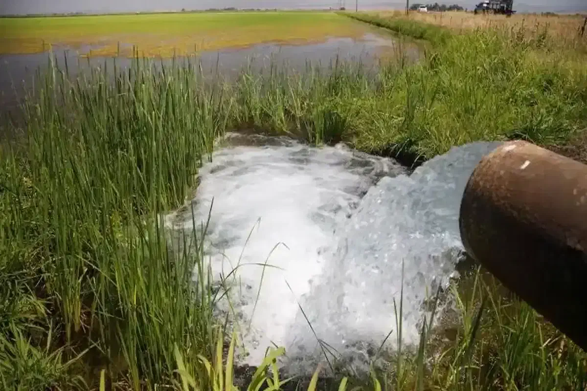 فروش یک ساعت آب زراعی|فروش دفتر صنعتی، کشاورزی، تجاری|بسطام, |دیوار