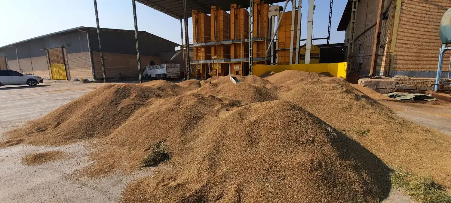 برنج عنبر بو دلپذیر کارون|خوردنی و آشامیدنی|اهواز, اسماعیلیه|دیوار