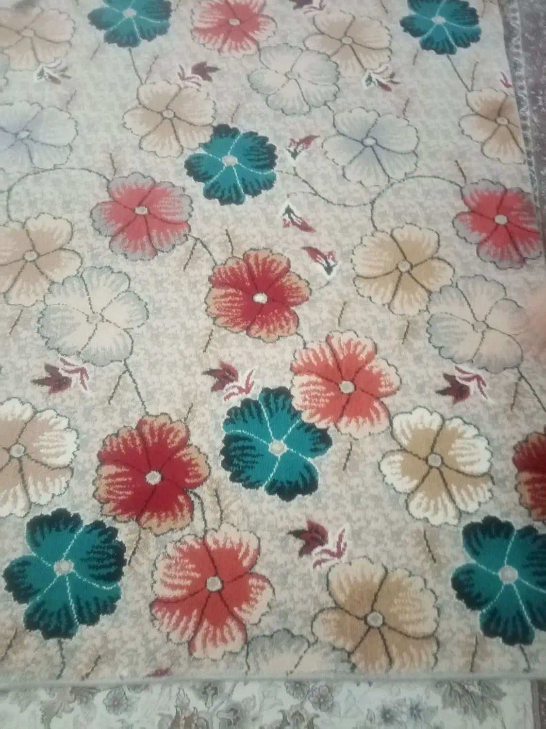 م کیت عالی|فرش|بانه, |دیوار