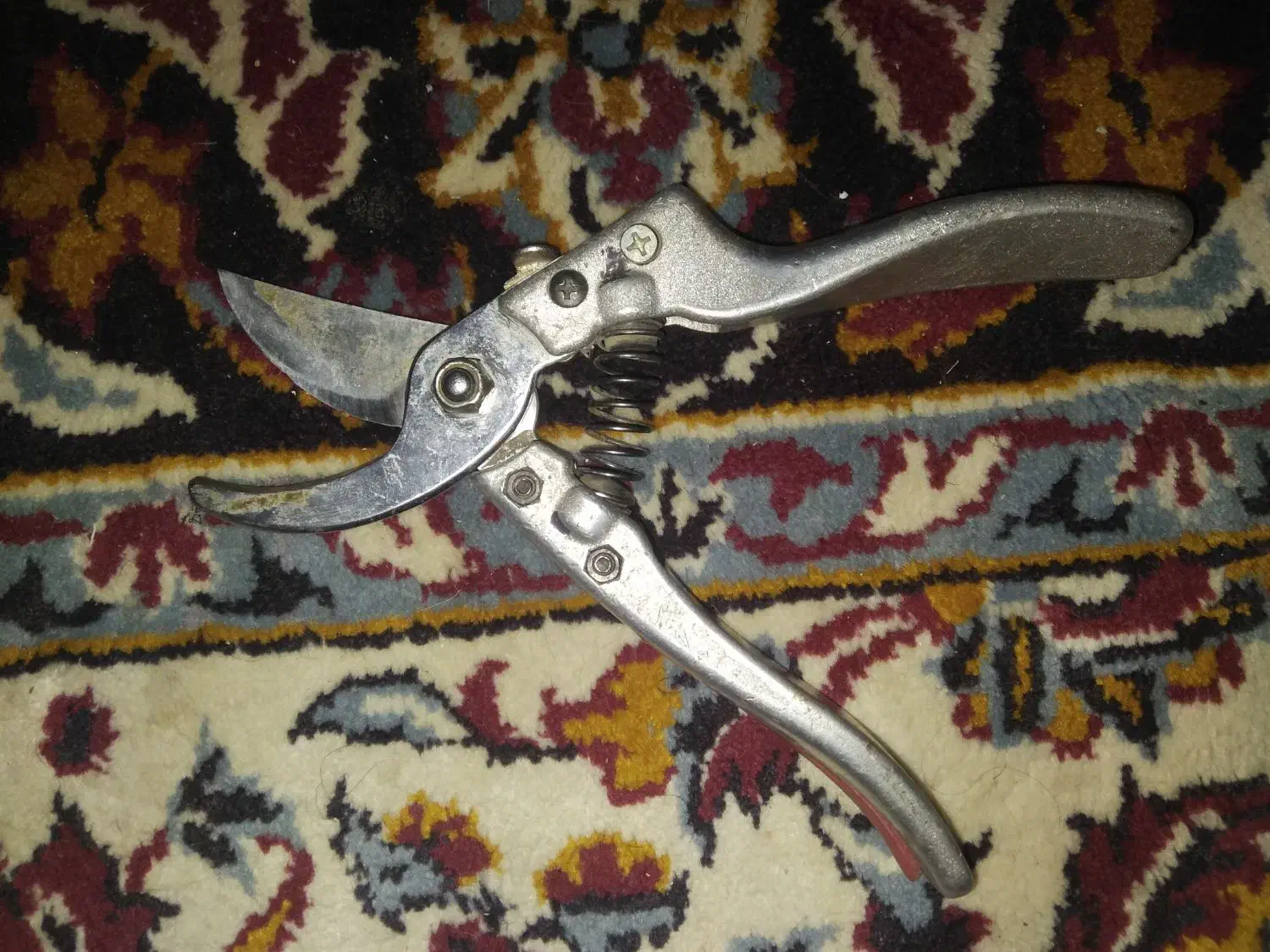 آره با قیچی|کوهنوردی و کمپینگ|رفسنجان, |دیوار