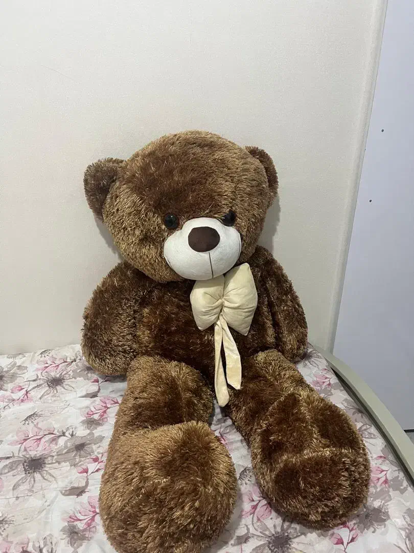 دو عدد خرس کاملا نو|اسباب‌‌بازی|مشهد, کارمندان دوم|دیوار