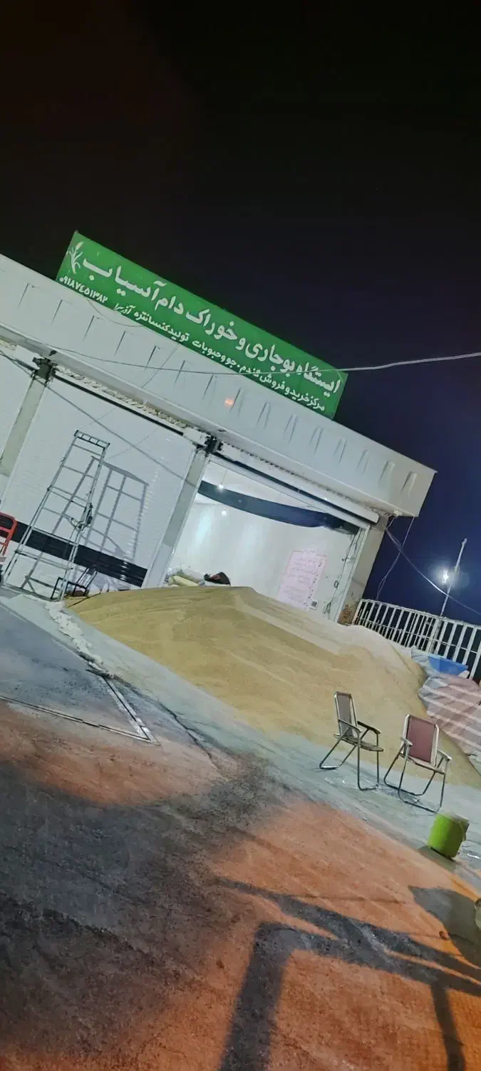 بذر باقله|خدمات باغبانی و درختکاری|دره شهر, |دیوار