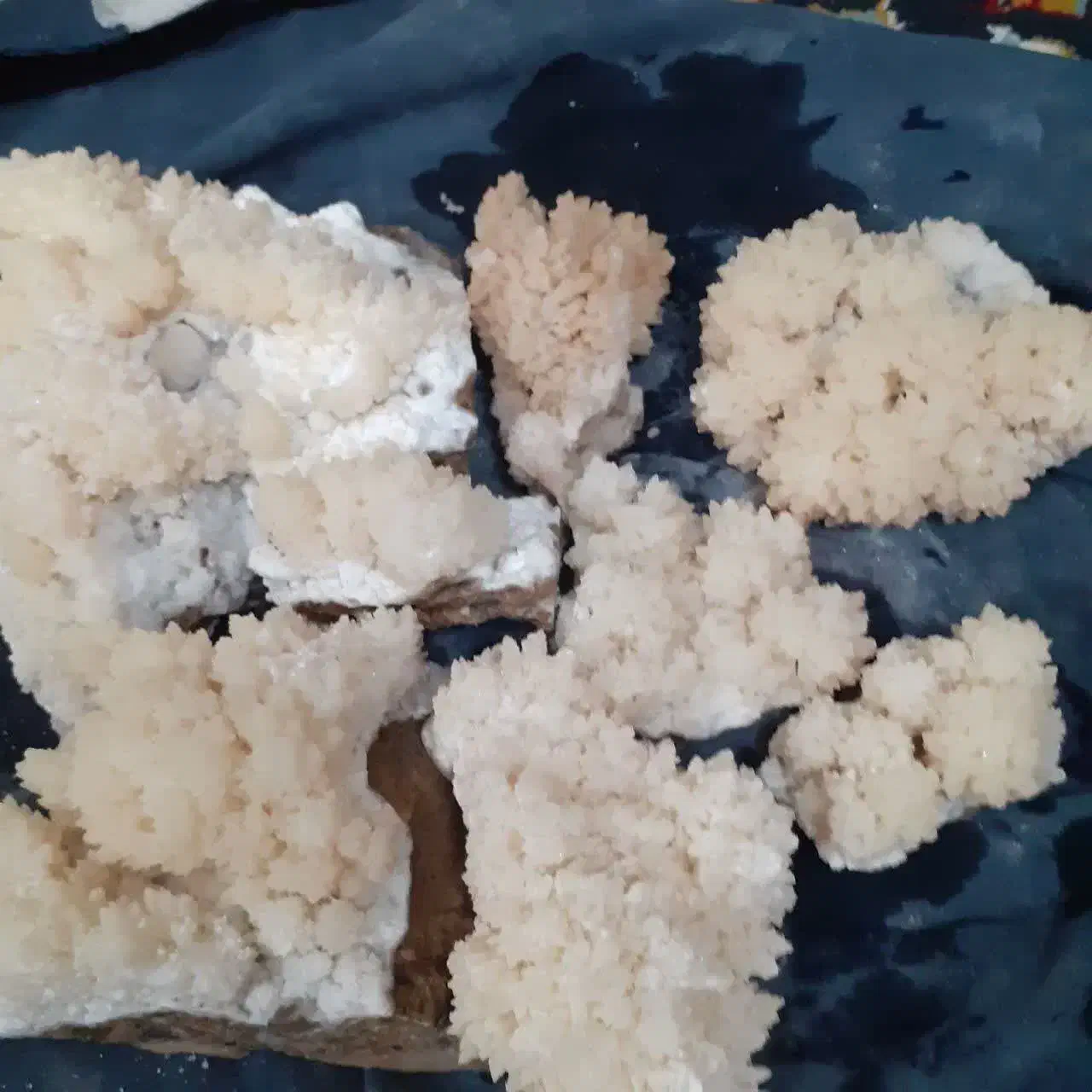 سنگ اکواریوم وتزیینی|ماهی|مشهد, شهرک مطهری|دیوار