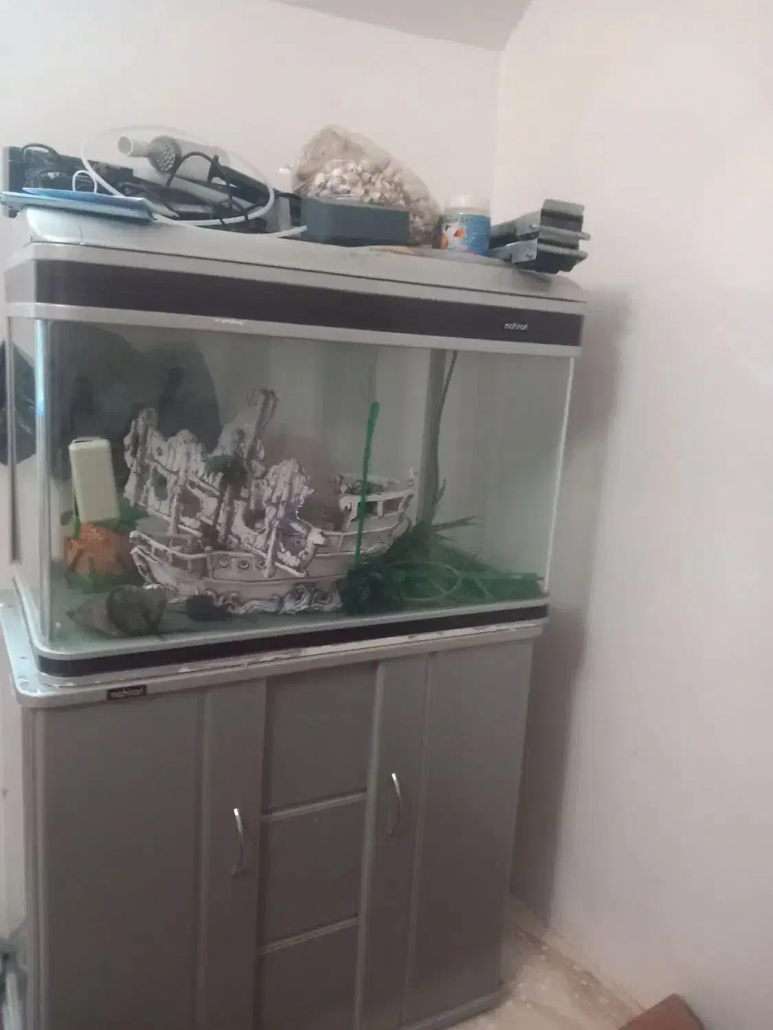 آکواریوم ماهی|ماهی|میانه, |دیوار