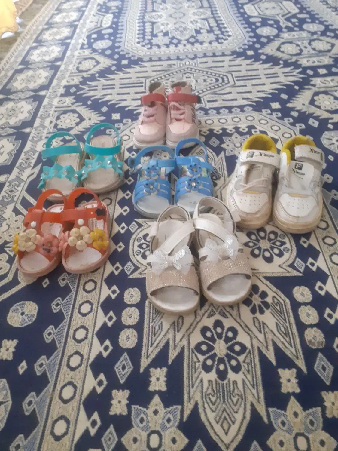 کفش|کیف، کفش، کمربند|تربت جام, خیرآباد|دیوار