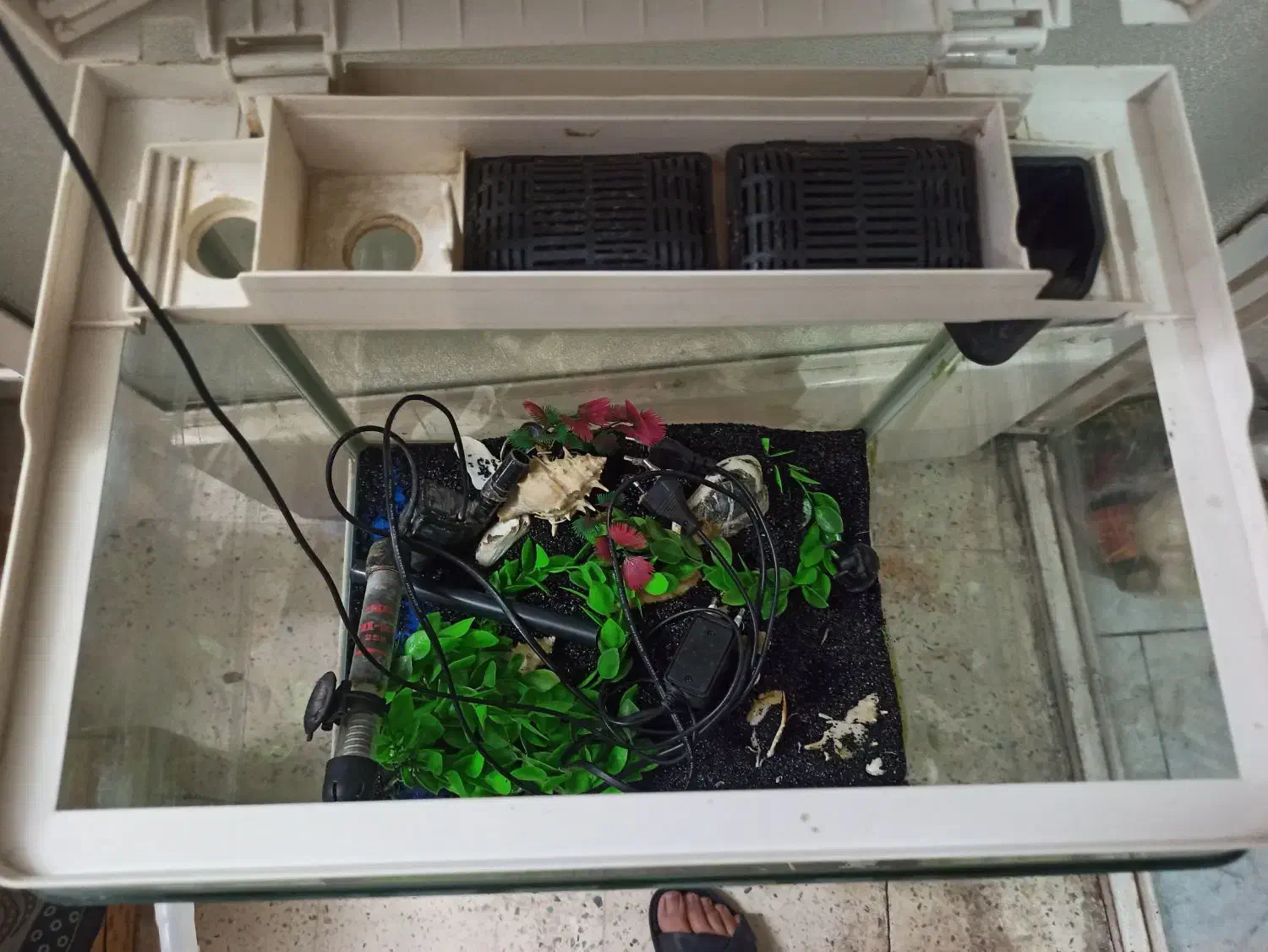 اکواریوم تمیز. ماهیران|ماهی|اصفهان, شیخ طوسی|دیوار