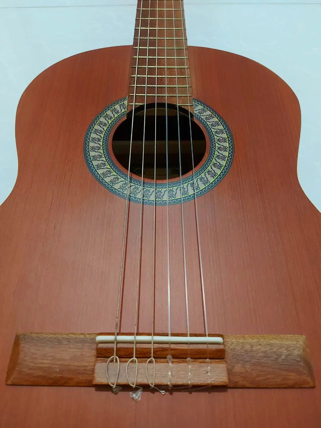 گیتار پارسی|گیتار، بیس، امپلیفایر|شیراز, گویم|دیوار