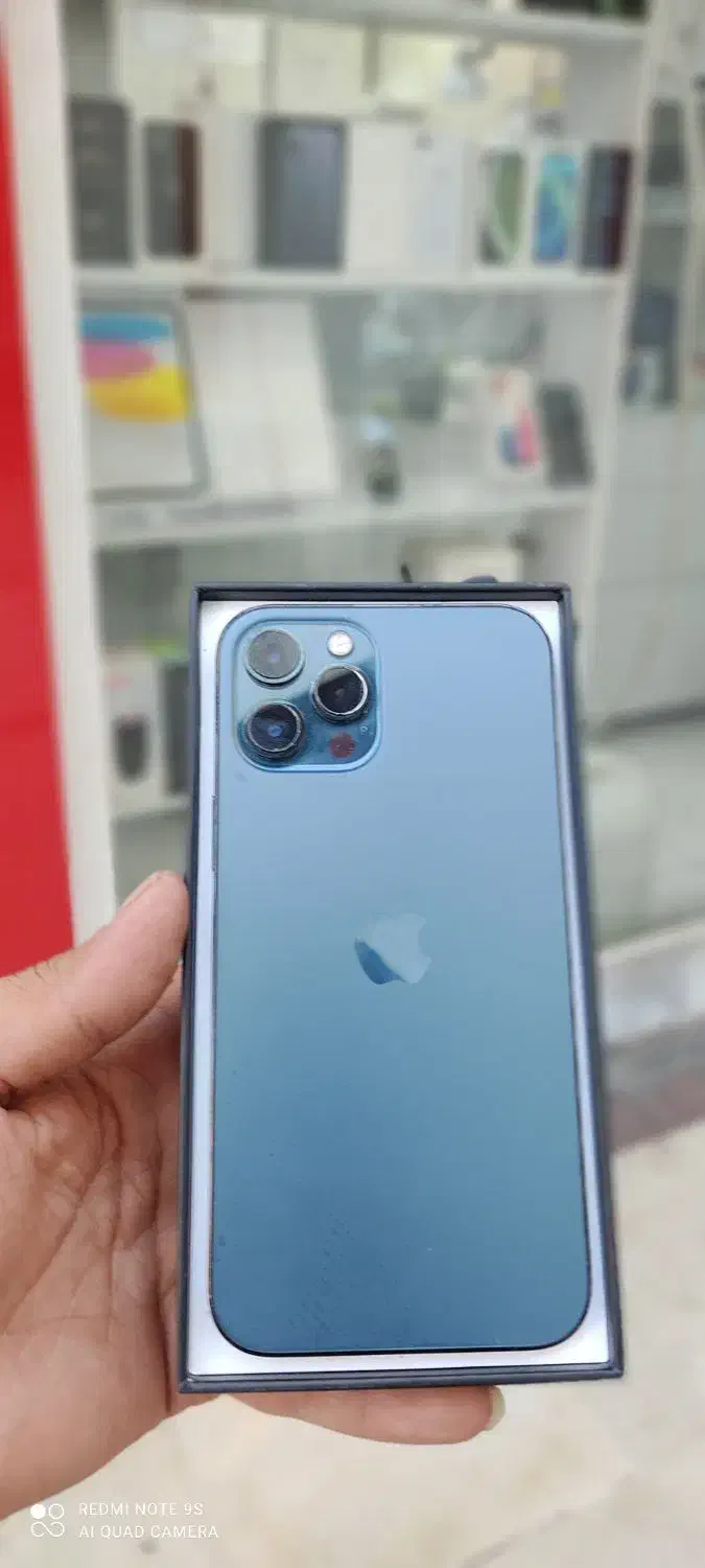 12promax 256 zaaاقساط|موبایل|شیراز, گود عربان|دیوار