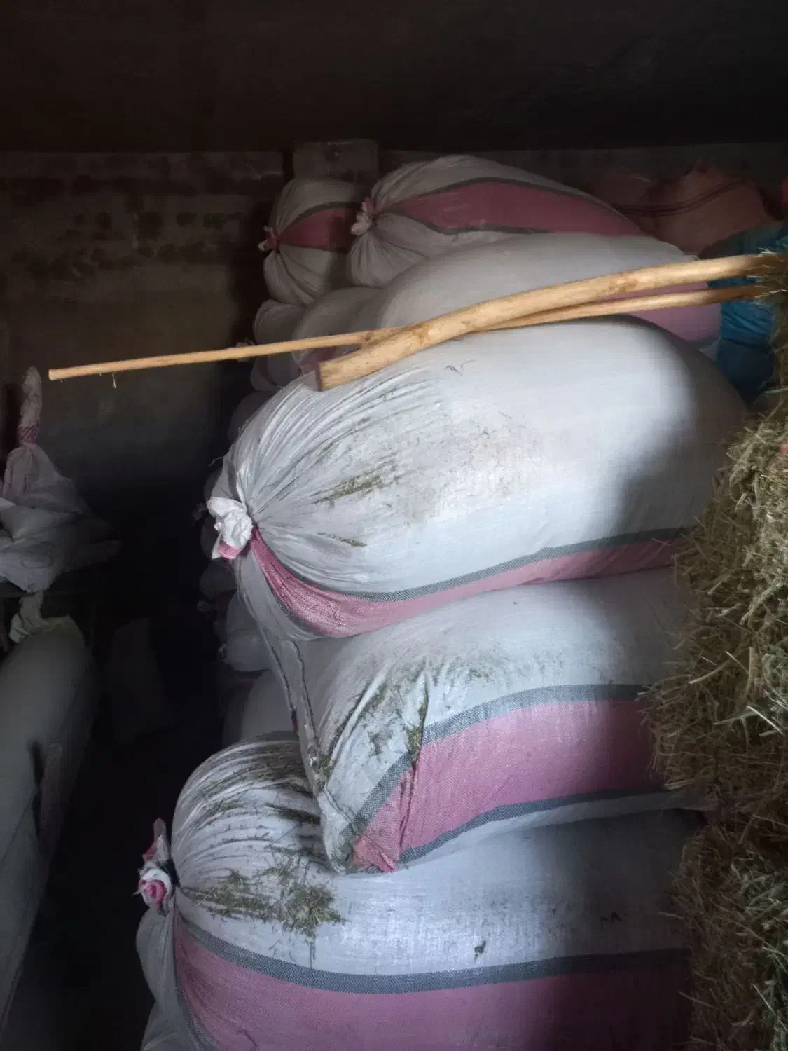 کاه|لوازم جانبی حیوانات|بروجرد, |دیوار