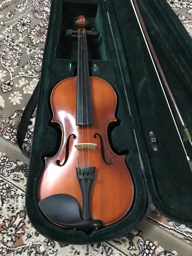 ویلون ویالون ویلن ویالن۴/۴|ویولن|بروجرد, |دیوار