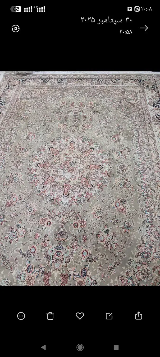 فرش 9 متری قالی سلیمان|فرش|شاهینشهر, عطار|دیوار