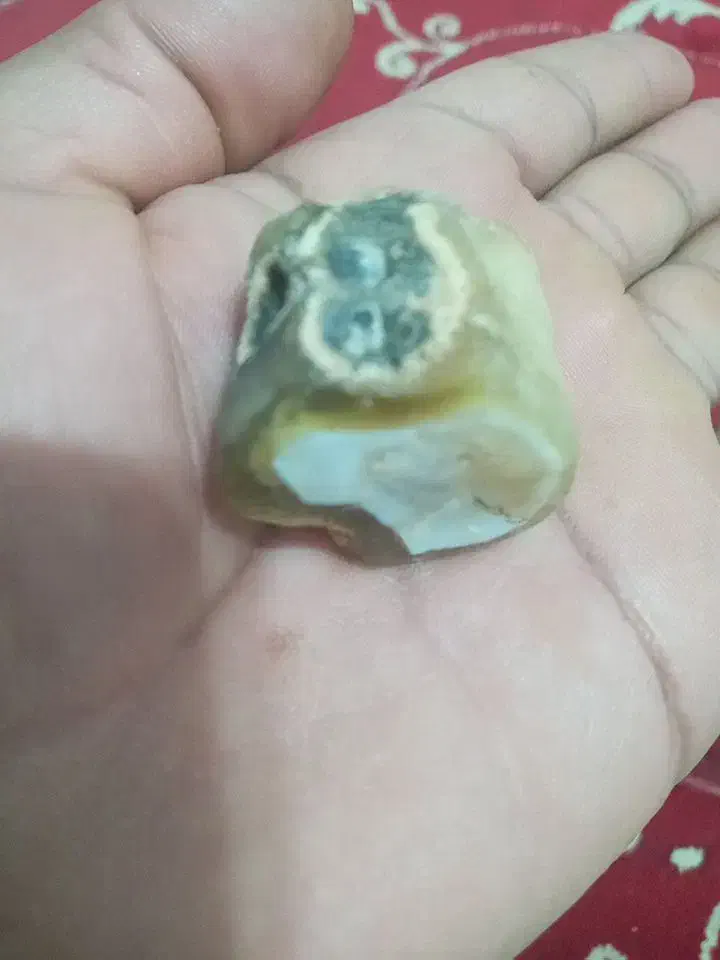 سنگ فروشی|کلکسیون اشیاء عتیقه|خواف, |دیوار