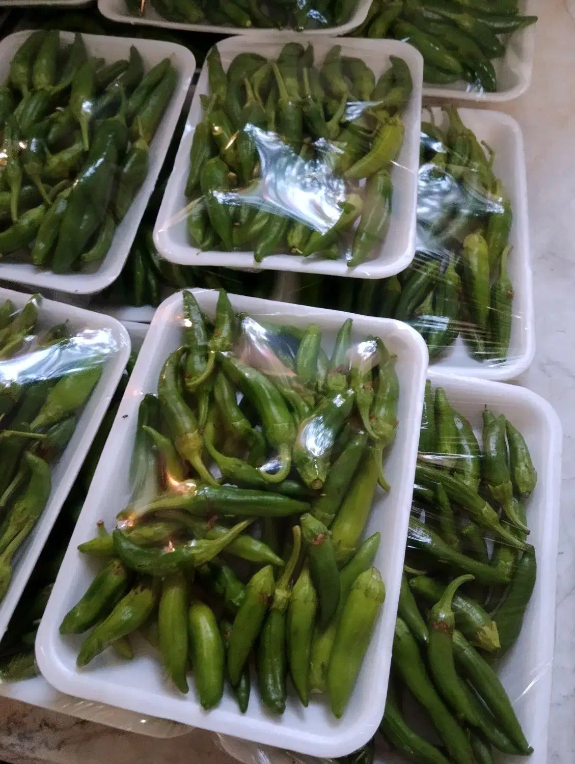 فلفل شیرین بسته بندی|خوردنی و آشامیدنی|قم, منبع آب|دیوار