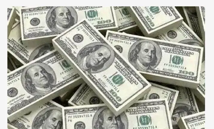 درآمدی دلاری|استخدام رایانه و فناوری اطلاعات|سمنان, |دیوار