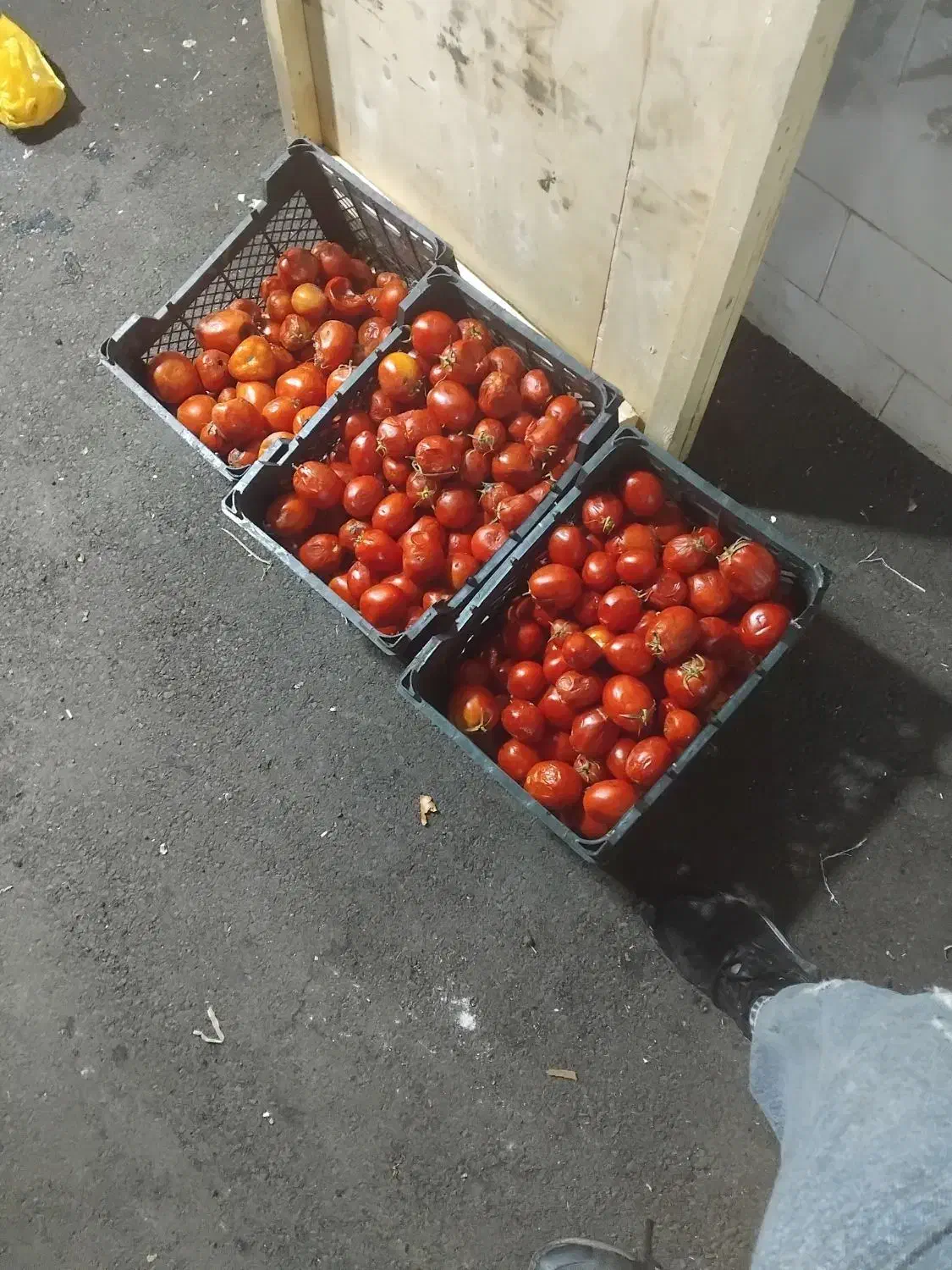 گوجه ربی گوشتی آب دار|خوردنی و آشامیدنی|تبریز, |دیوار