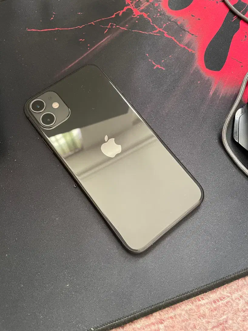 ایفون ۱۱ نرمال|موبایل|شیراز, امام حسین|دیوار