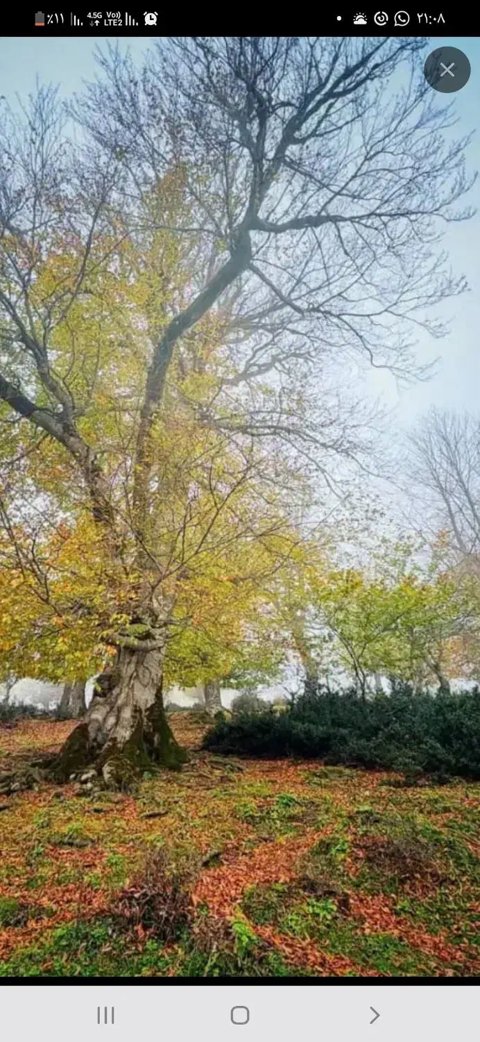 فروش زمین درکیان اباد|فروش زمین و ملک کلنگی|شیراز, شاپورجان|دیوار