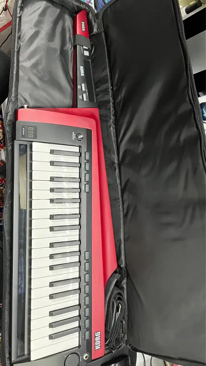 گیو کرگ rk100s 2|پیانو، کیبورد، آکاردئون|رشت, گلسار|دیوار